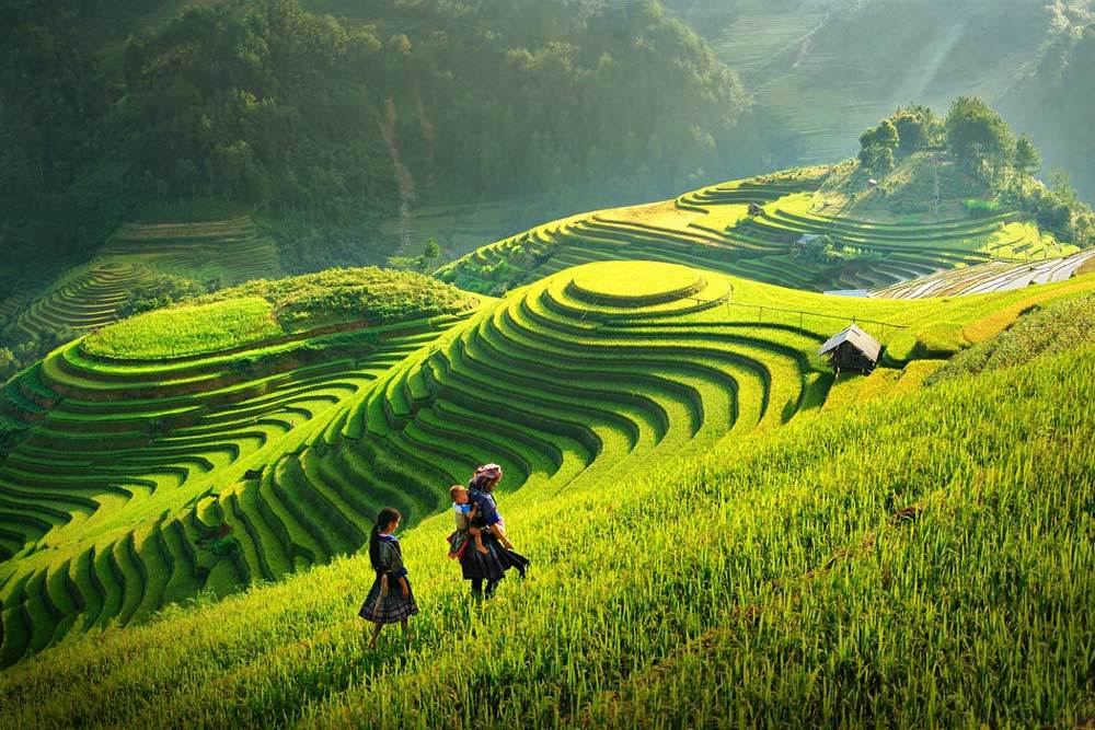 Vietnam