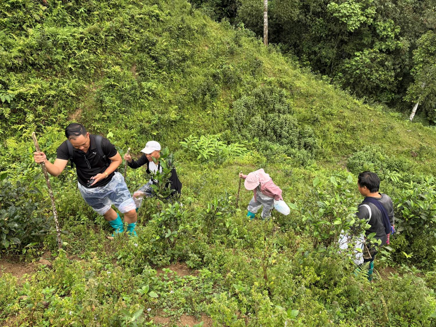 Lux Travel DMC team trek in Ban Lien